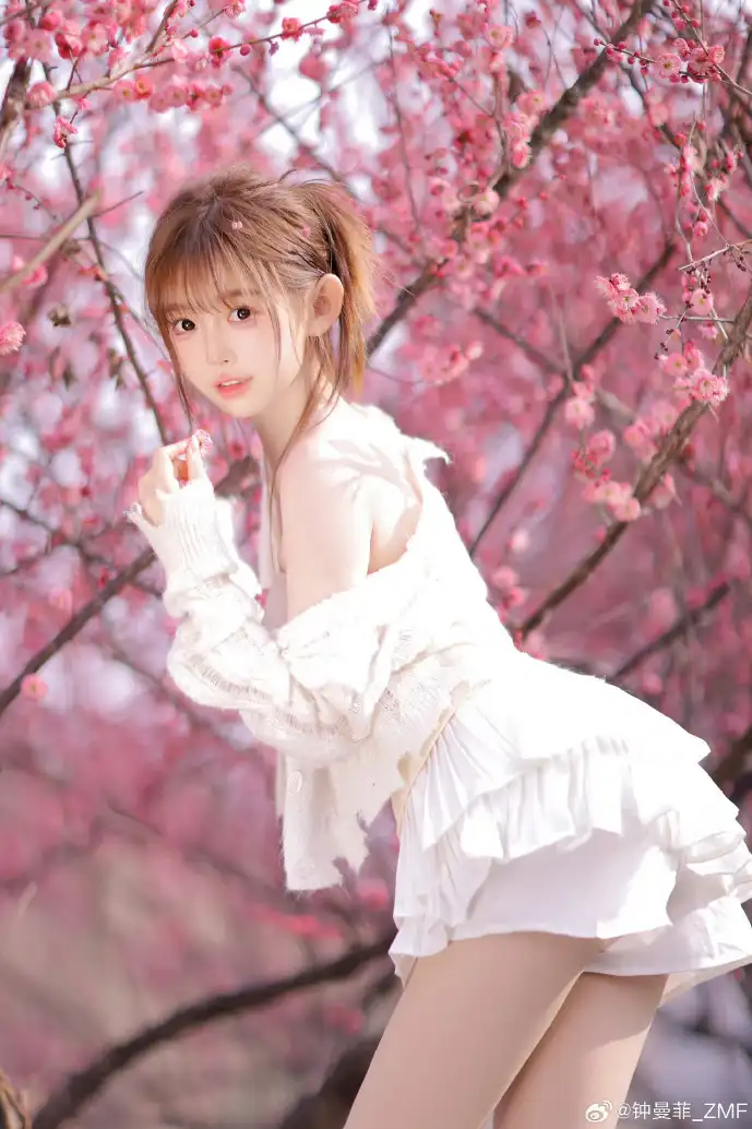 美剧流量趋势图