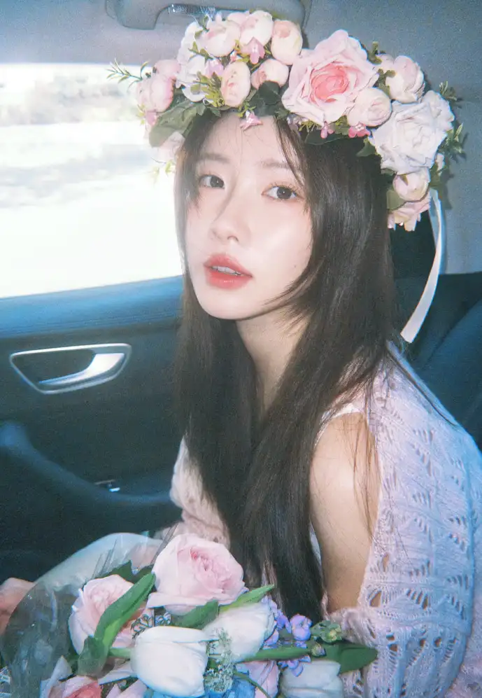 绅士动漫下载数据分析